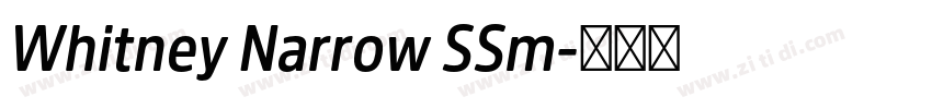 Whitney Narrow SSm字体转换